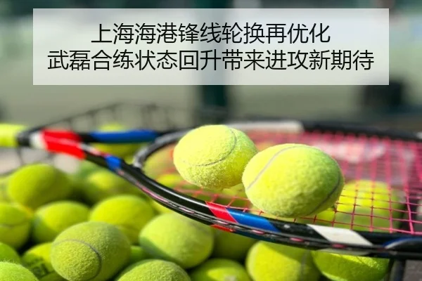 上海海港锋线轮换再优化 武磊合练状态回升带来进攻新期待
